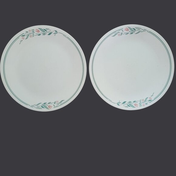 Set Of 2 Corelle Rosemarie 10.25" Dinner Plates Pink & Green Floral Pattern - Picture 1 of 3